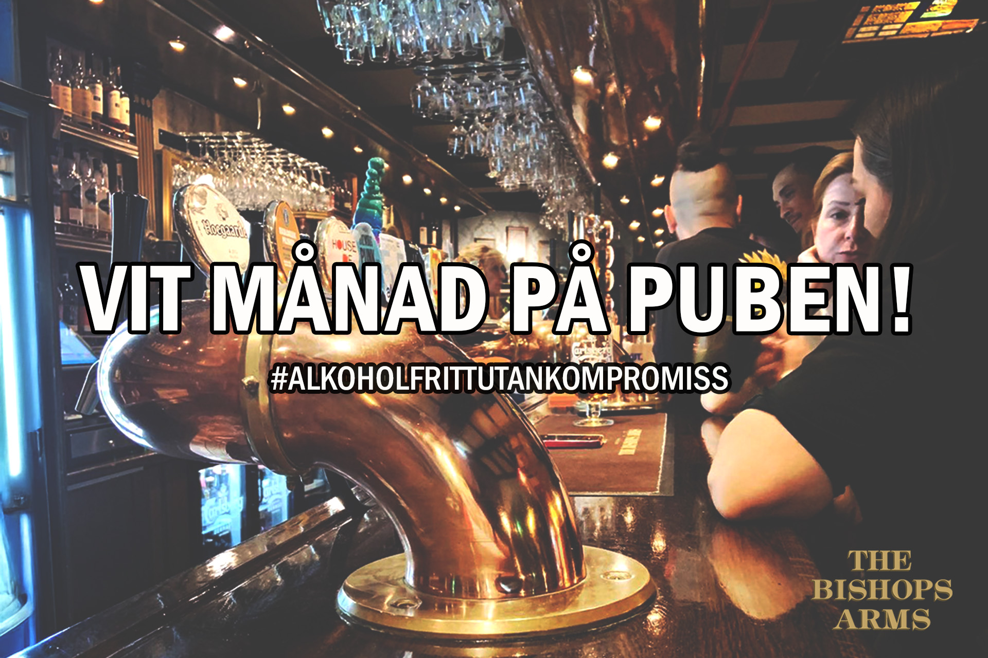  VIT MÅNAD? FUNKAR FINT HOS OSS!